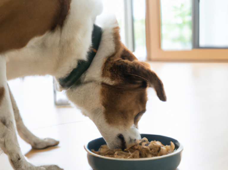 dieta barf para perros desventajas para nuestra mascota