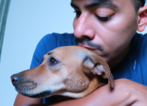 ansiedad por separacion en perros causas y tratamiento