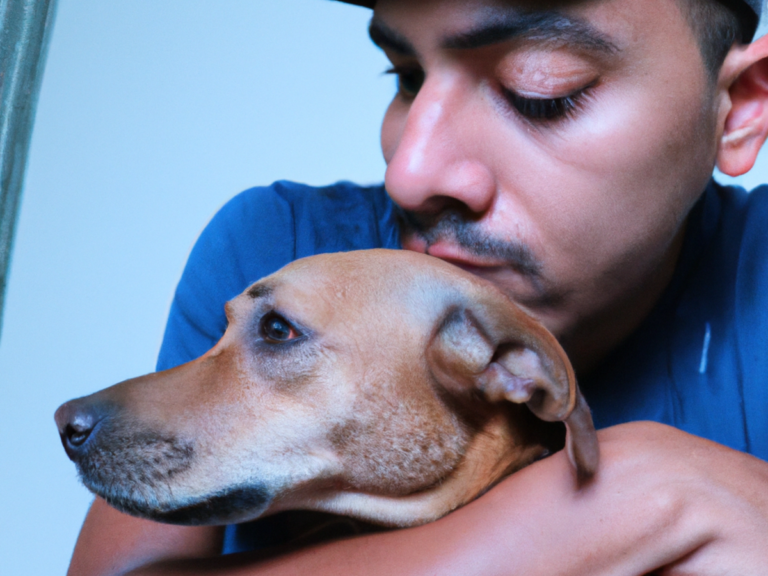 ansiedad por separacion en perros causas y tratamiento