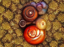 1024 1024 18 17 11 07 0