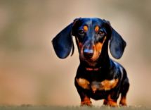 1024 1024 26 14 09 20 1