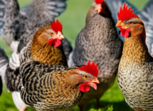 1024 1024 30 11 42 49 0