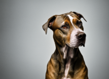 1024 1024 30 16 18 34 3