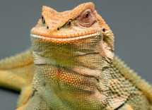 1024 1024 01 10 24 03 4