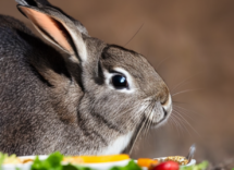 1024 1024 04 15 35 24 0