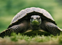 1024 1024 06 12 07 14 0