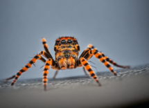 1024 1024 09 10 08 34 4