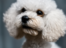 1024 1024 12 15 55 43 0