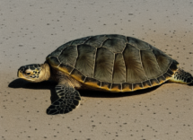 1024 1024 14 15 09 09 2