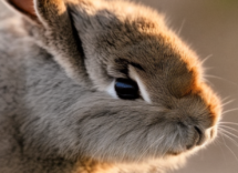 1024 1024 14 16 04 23 3