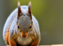 1024 1024 15 16 01 34 1