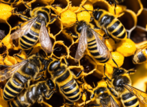 1024 1024 20 10 11 58 4