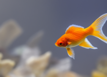 1024 1024 27 13 14 16 4 1