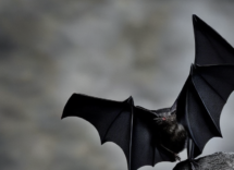 1024 1024 29 12 23 34 1