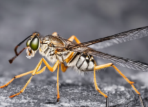 1024 1024 03 17 28 21 0