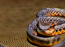 1024 1024 05 17 40 41 3