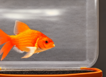 1024 1024 17 12 54 24 3 609855