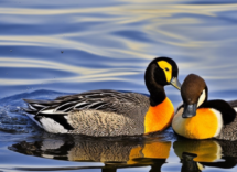 1024 1024 17 17 08 46 4 272190