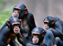 1024 1024 17 17 38 00 3 803603 720