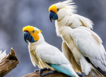 1024 1024 18 14 20 09 0 691119