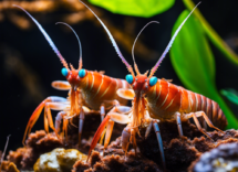 1152 896 23 10 59 57 3 52981