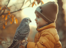 gli uccelli domestici piu adatti ai bambini