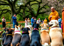 un evento lleno de amor y espiritualidad guida completa 1749527748