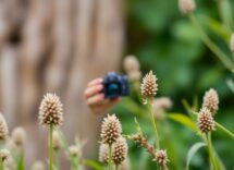 como el marketing digital basado en datos transforma los negocios python 1758111247