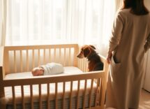 Cómo adaptar al perro a un recién nacido